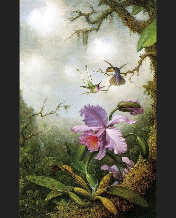 Martin Johnson Heade Two Hummingbirds with a Pink Orchid